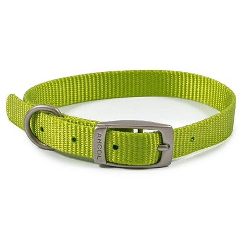 Ancol Viva Buckle Collars Lime 20-26cm