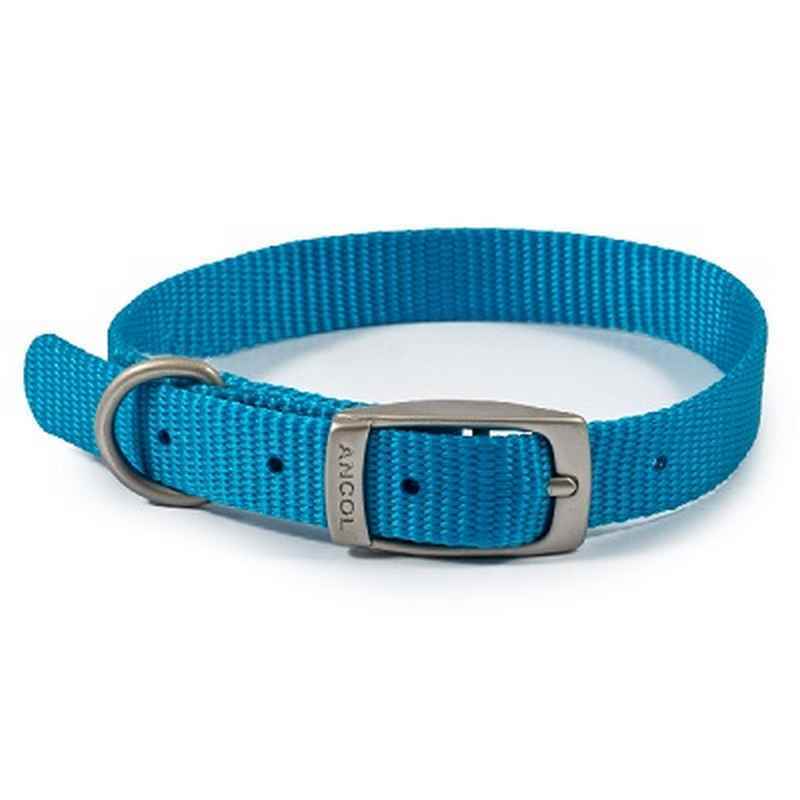 Ancol Viva Buckle Collars Blue 20-26cm