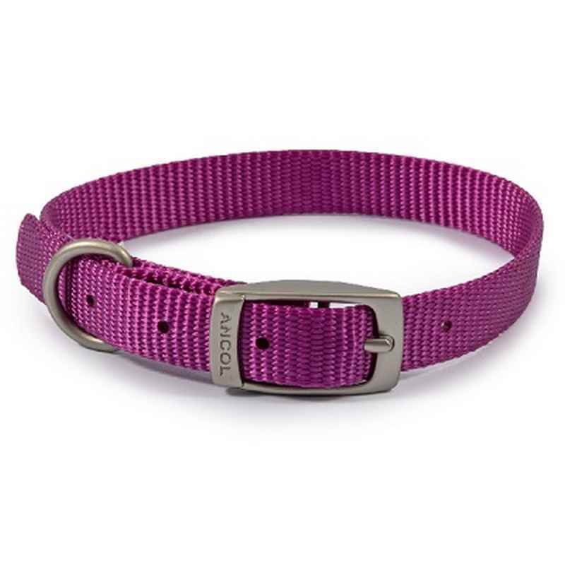 Ancol Viva Buckle Collars Purple 20-26cm