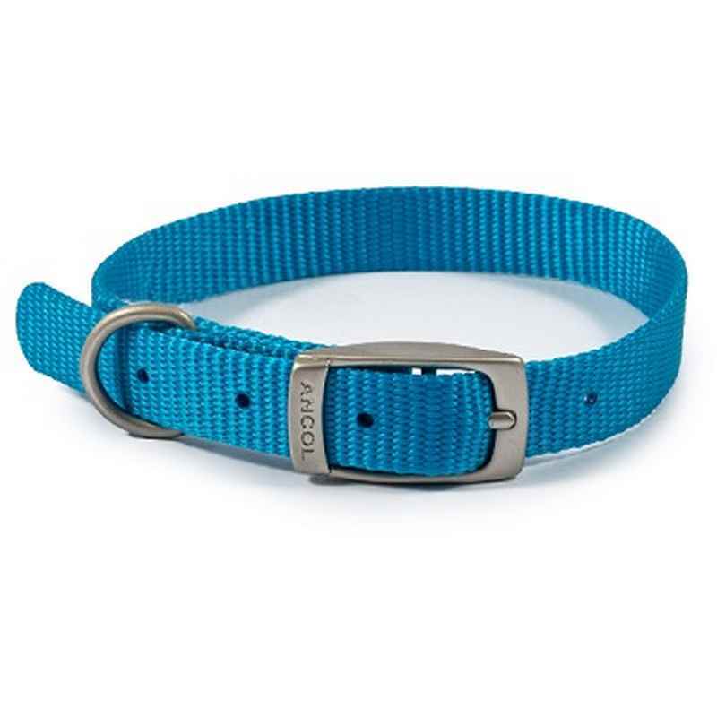 Ancol Viva Buckle Collar Blue 26-31cm