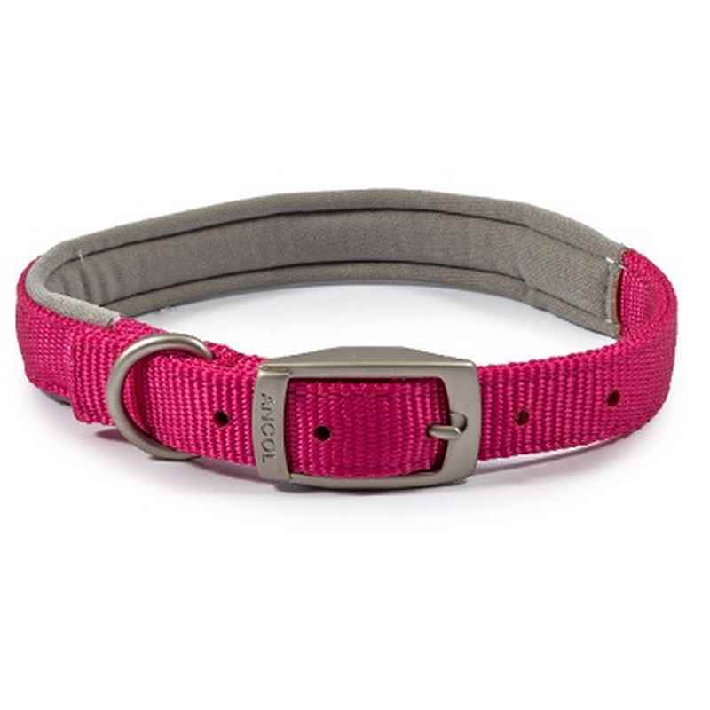 Ancol Viva Padded Buckle Collar Pink 35-43cm