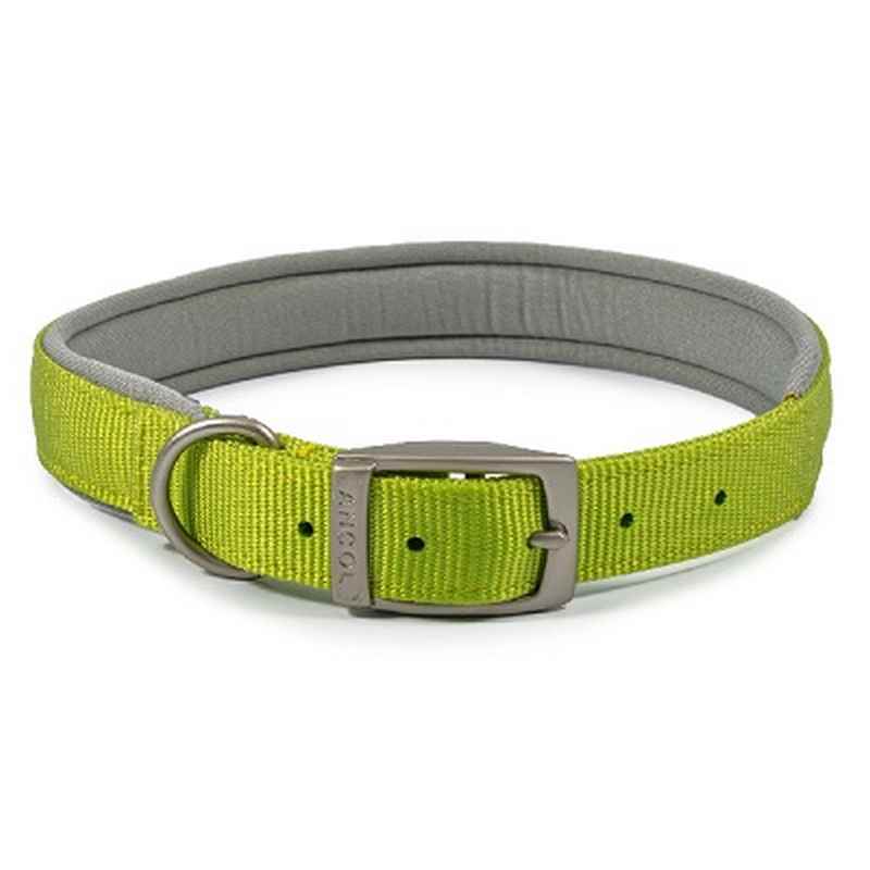 Ancol Viva Padded Buckle Collar Lime 35-43cm