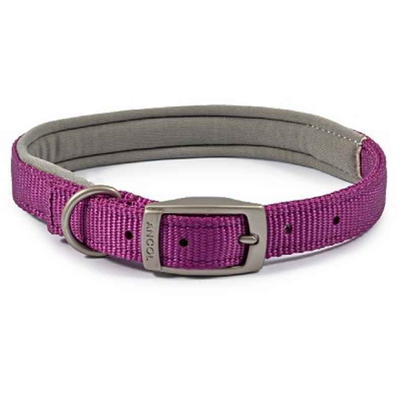 Ancol Viva Padded Buckle Collar Purple 35-43cm