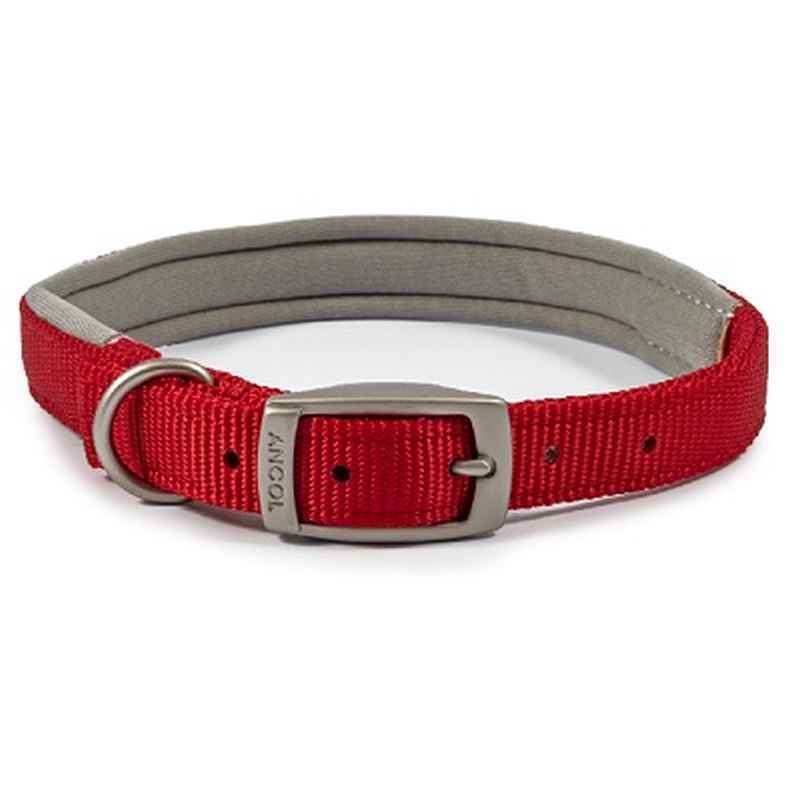Ancol Viva Padded Buckle Collar Red 39-48cm