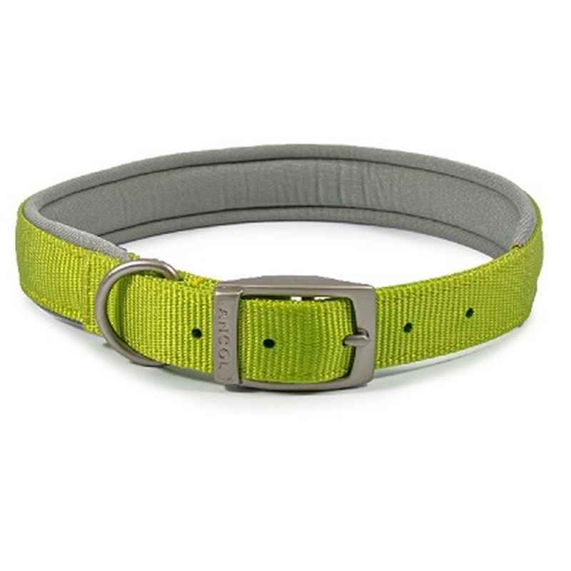 Ancol Viva Padded Buckle Collar Lime 39-48cm