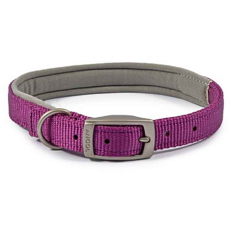 Ancol Viva Padded Buckle Collar Purple 39-48cm
