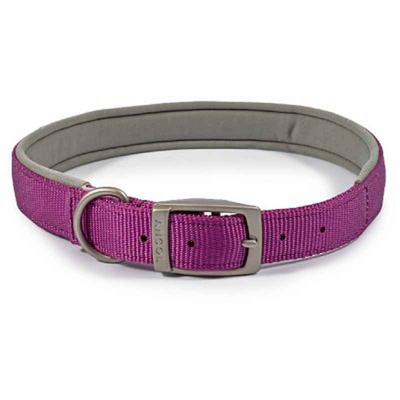 Ancol Viva Padded Buckle Collar Purple 45-54cm