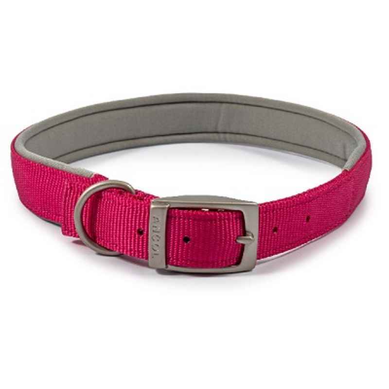 Ancol Viva Padded Buckle Collar Pink 50-59cm