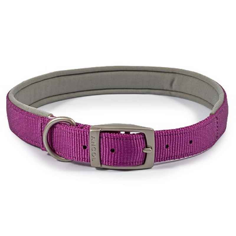 Ancol Viva Padded Buckle Collar Purple 50-59cm