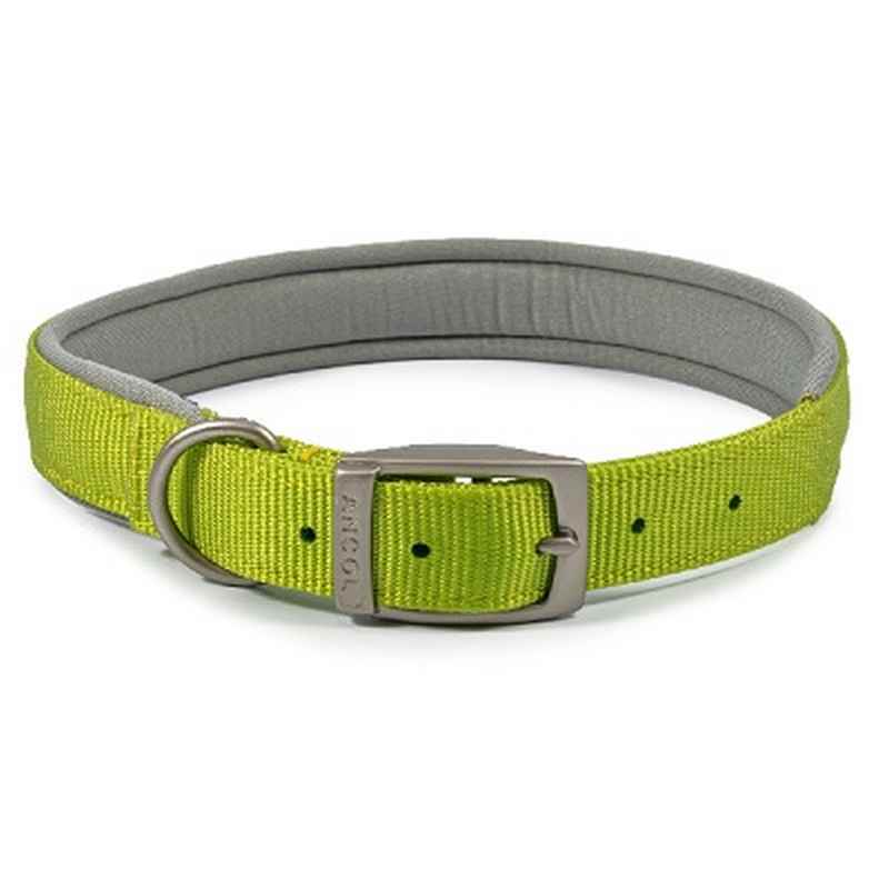 Ancol Viva Padded Buckle Collar Lime 55-63cm
