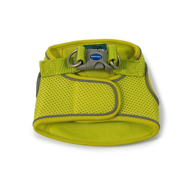 Ancol Viva Step In Harness Lime 35-42cm