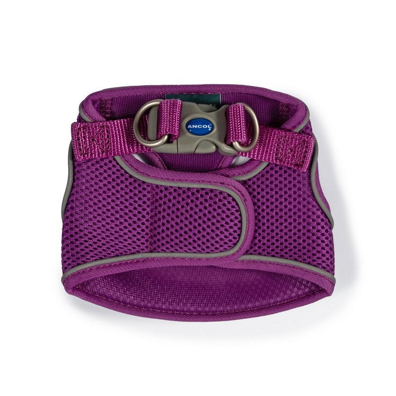 Ancol Viva Step In Harness Purple 35-42cm