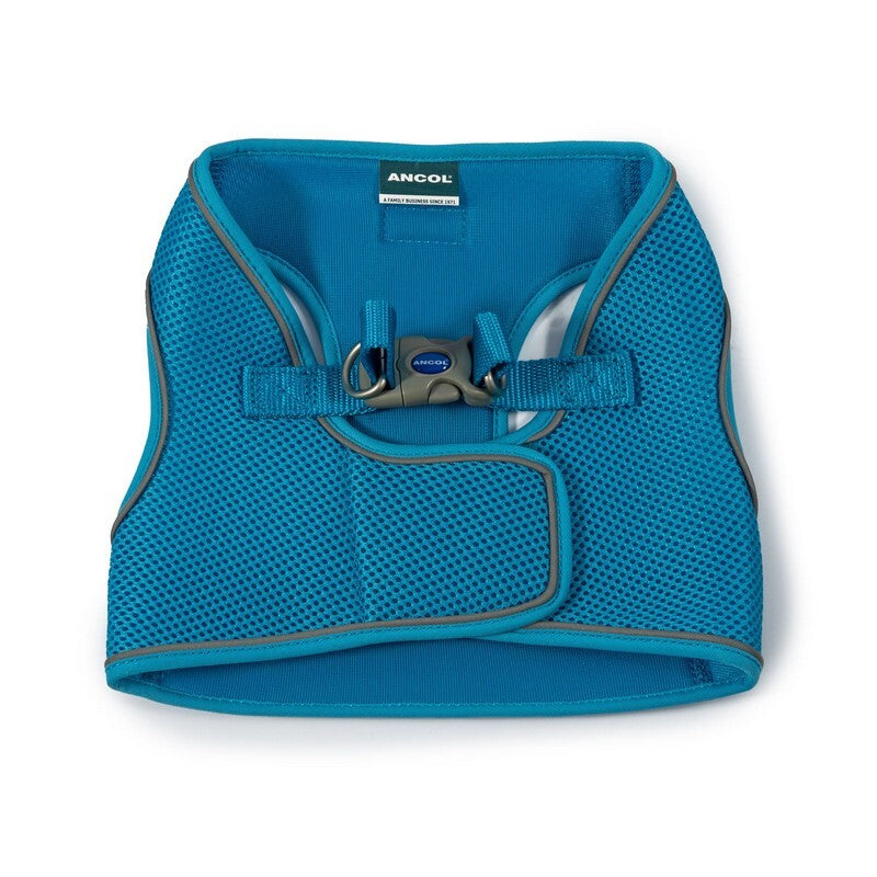 Ancol Viva Step In Harness Blue 54-60cm