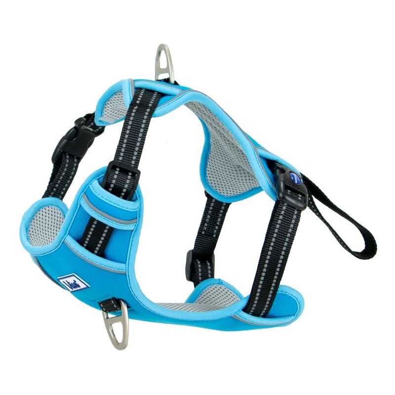 Ancol Viva Exercise & Travel Harness Blue Small 35-45cm