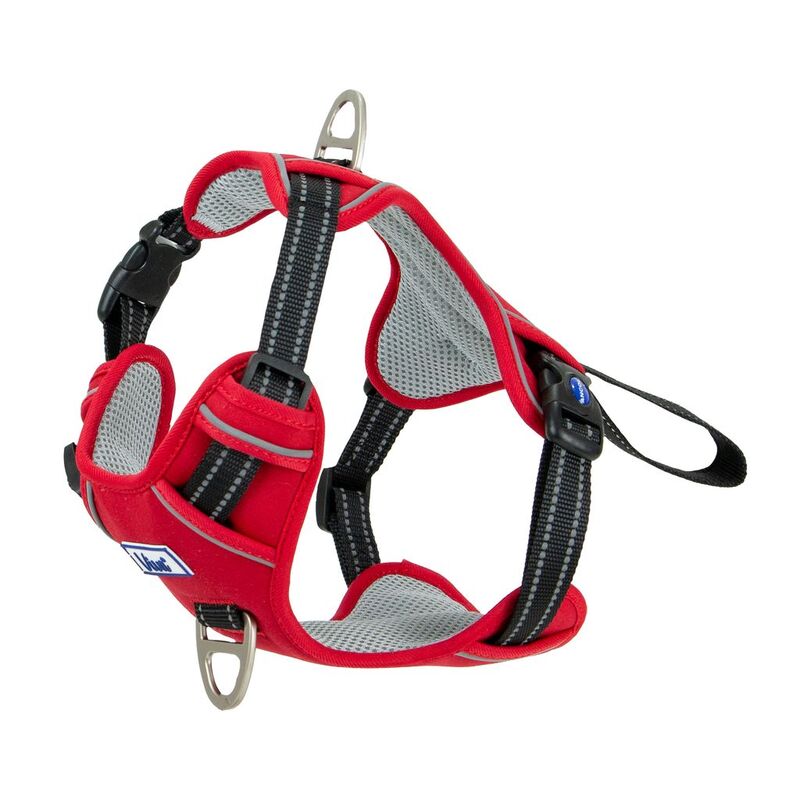 Ancol Viva Exercise & Travel Harness Red Medium 45-65cm