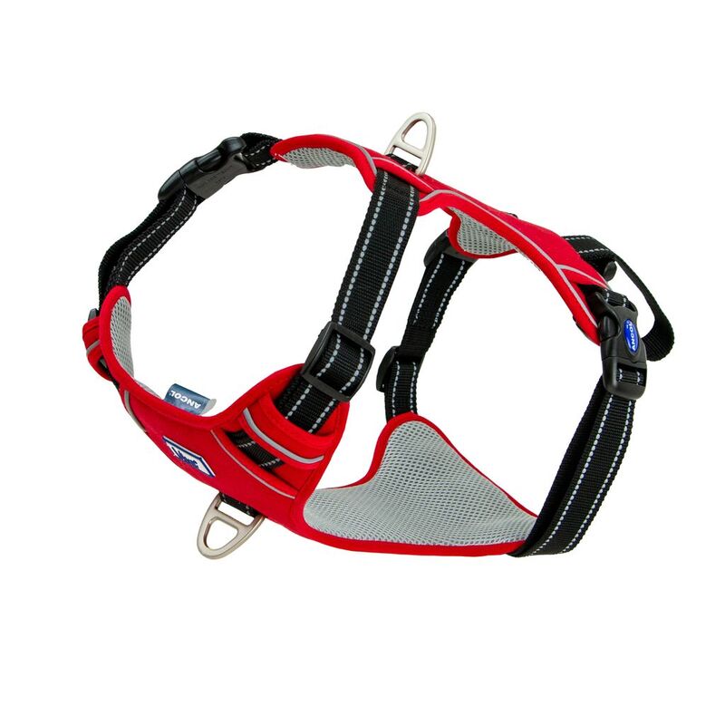 Ancol Viva Exercise & Travel Harness Red Large 60-85cm