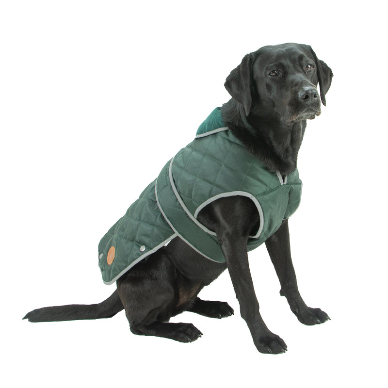 Ancol Heritage Quilted Green Coat Extra Small 25cm
