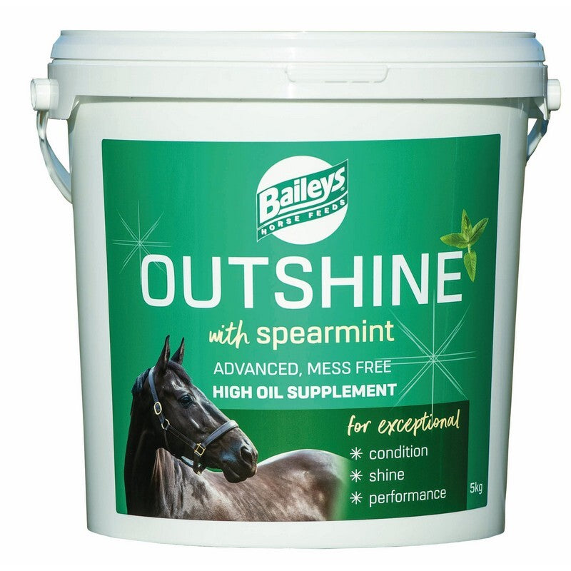 Baileys Outshine Spearmint 5kg
