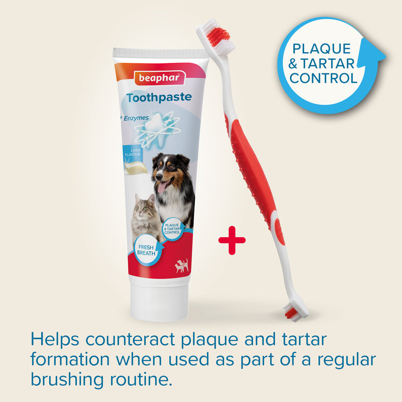 Beaphar Toothbrush & Toothpaste x 6