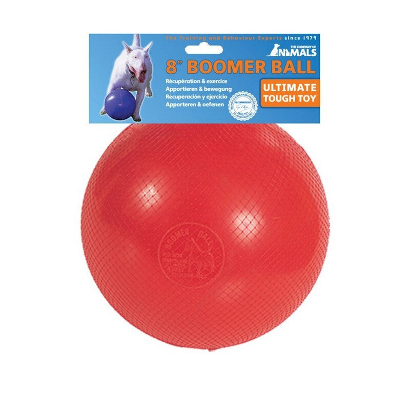 Company of Animals Boomer Ball Dog Toy 20cm