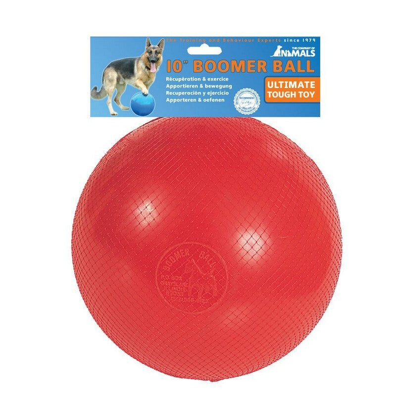 Company of Animals Boomer Ball Dog Toy 25cm
