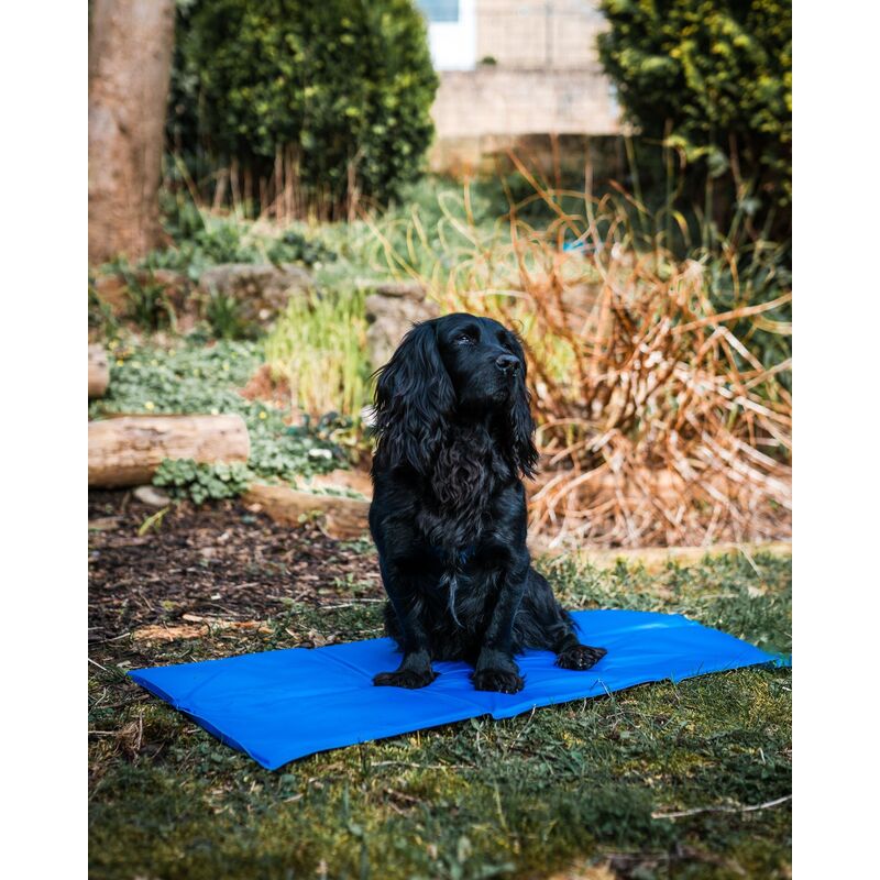 Danish Design Pet Cooling Mattress Medium 50 x 90cm