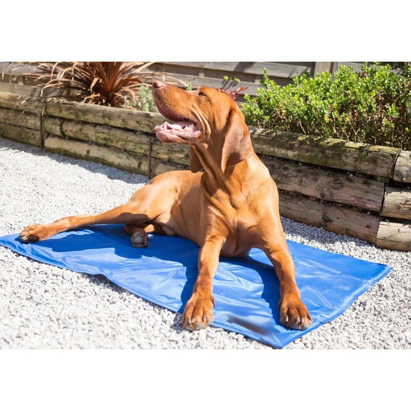 Danish Design Pet Cooling Mattress Large 70 x 110cm