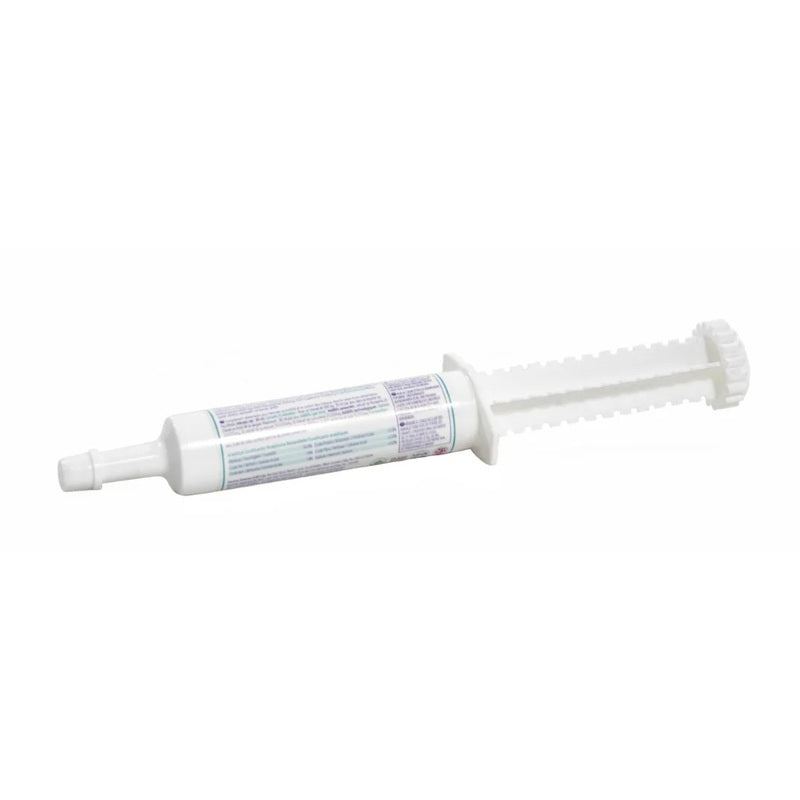 Equine America Buteless High Strength Paste 30ml