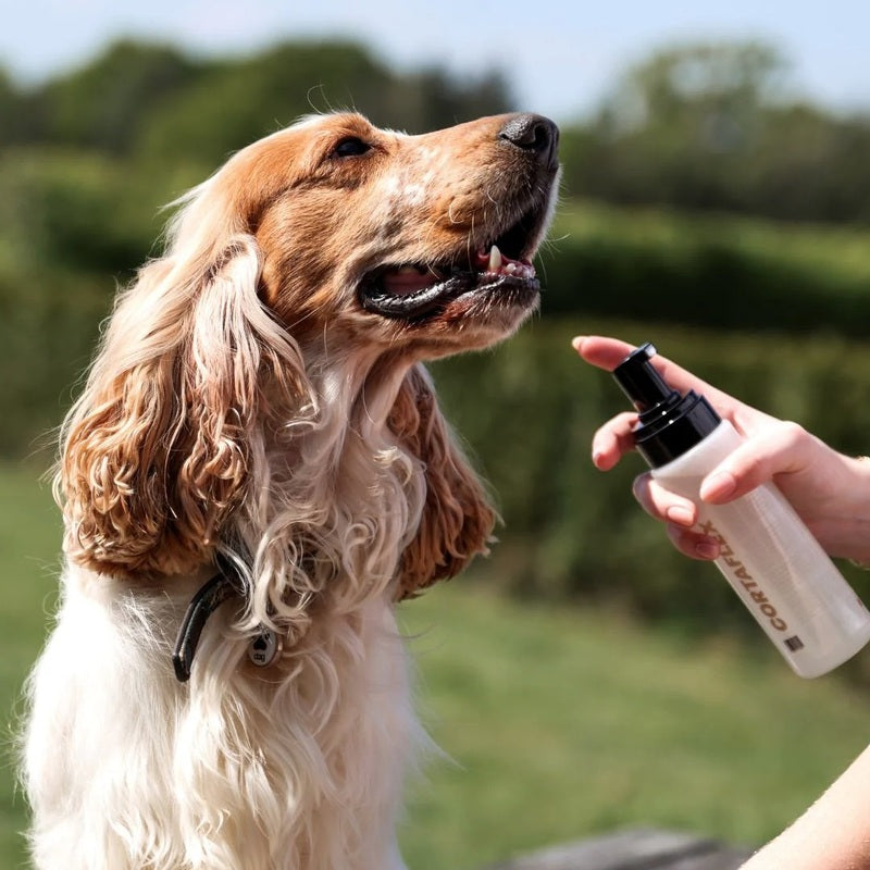 Equine America Groom & Go Dog Drywash Shampoo 200ml