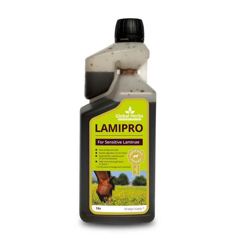 Global Herbs LamiPro Liquid Supplement 1L