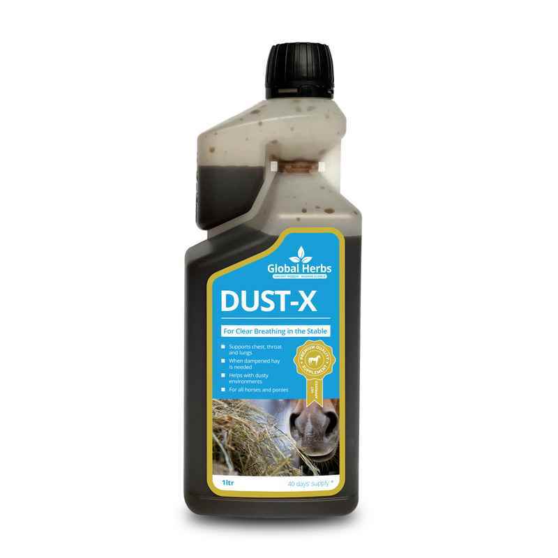 Global Herbs Dust-X Syrup 1L