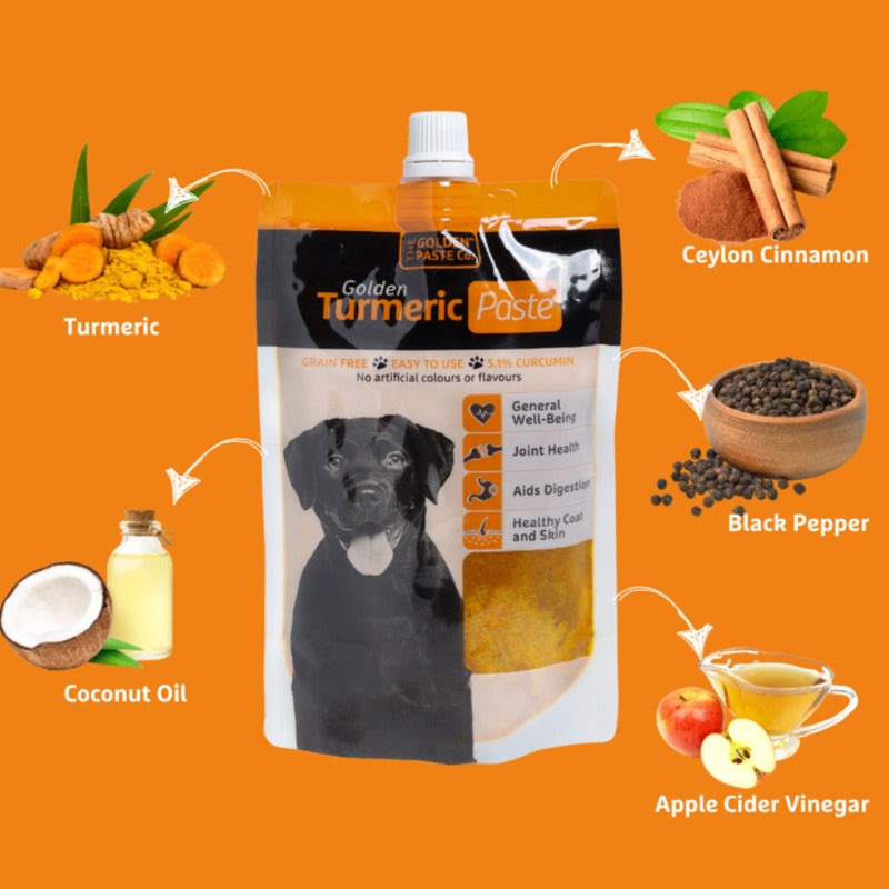 Golden Turmeric Paste for Pets 200g