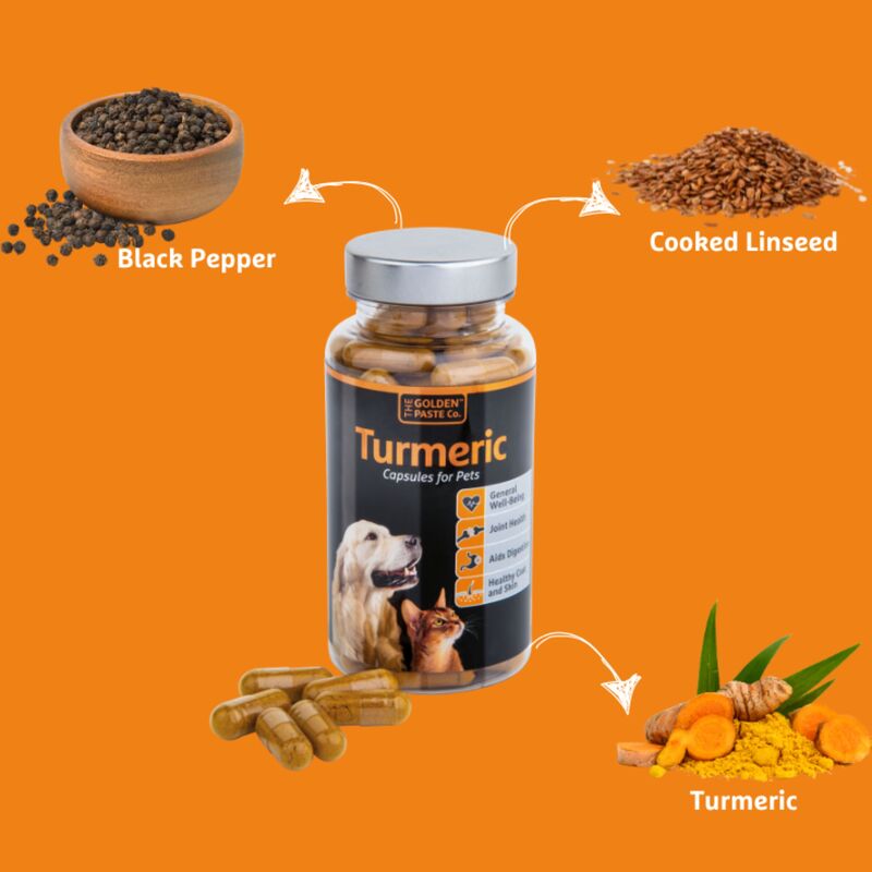 Golden Turmeric for Pets 90 Capsules
