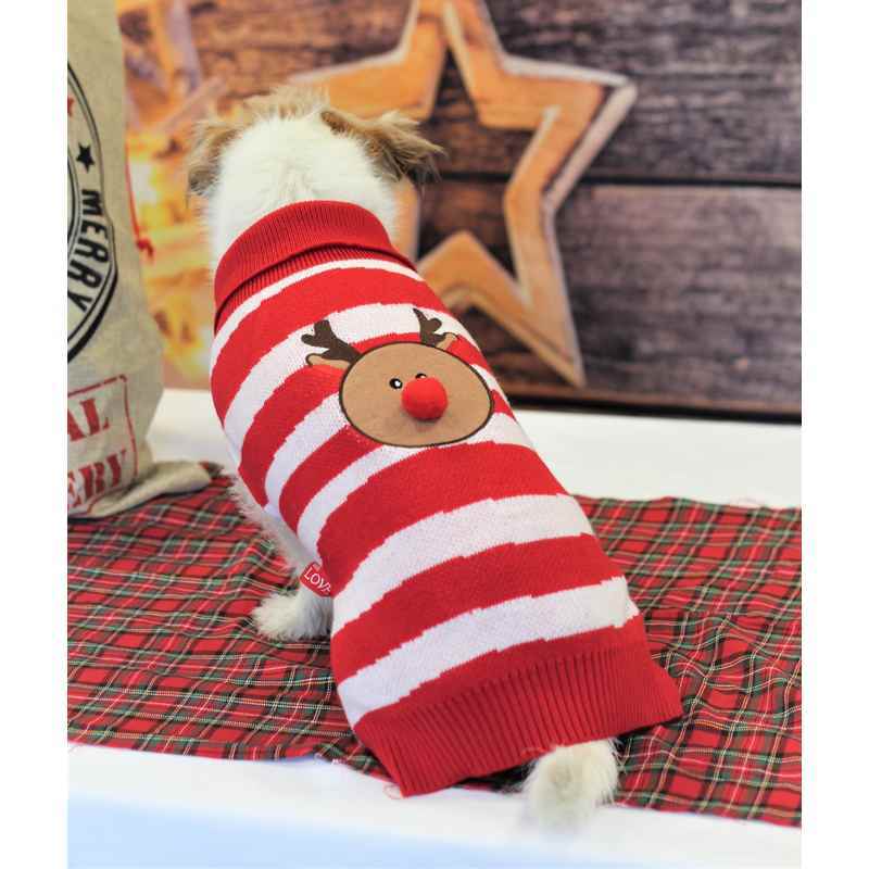 Happy Pet Xmas PomPom Reindeer Coat 16 i