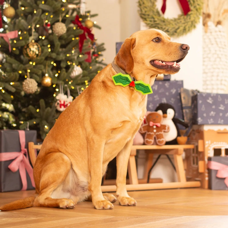 HOP Xmas Holly Bow Tie
