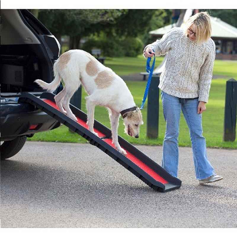 Henry Wag Pet Folding Lightweight Ramp