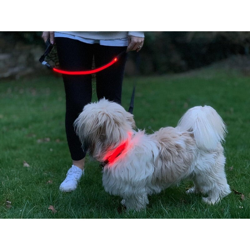 Lilly and Jake LED Dog Lead Red