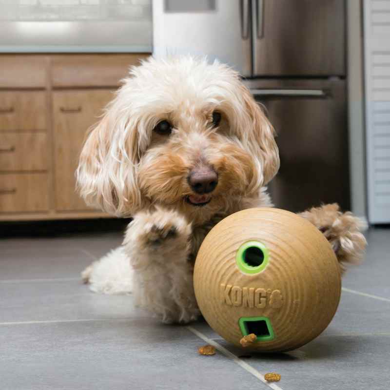 Kong Bamboo Feeder Dumbbell Medium