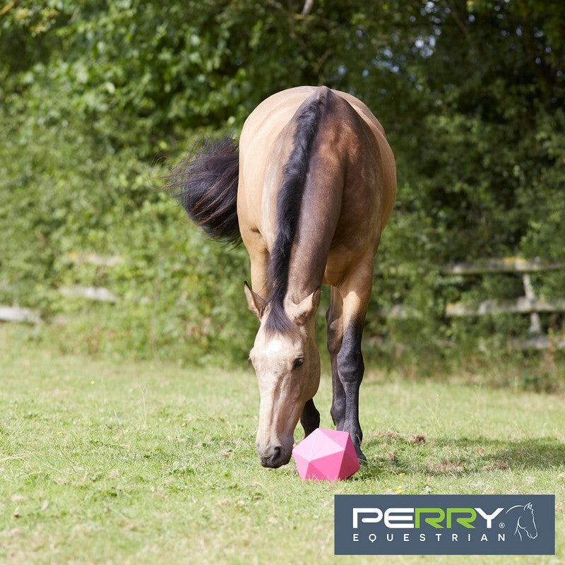 Equi-Feeder One Piece Moulded Feed Ball Boredom Breaker - Pink