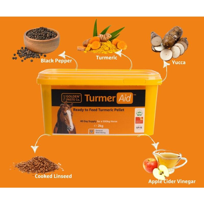Golden Paste TurmerAid Pellets 2kg