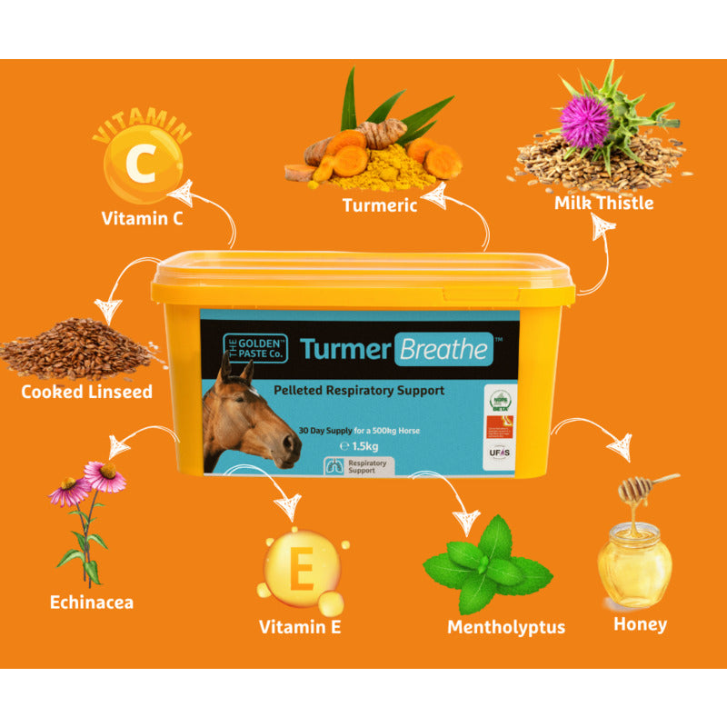 Golden Paste TurmerBreathe Pellets 1.5kg