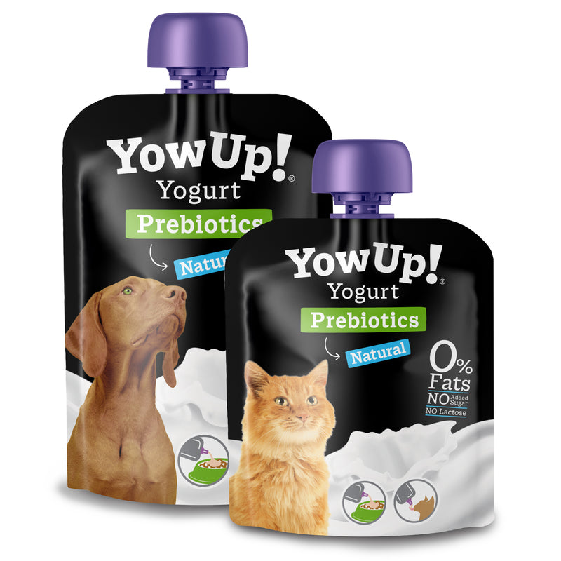 YowUp! Yogurt Prebiotic Natural Cat 85g x 10