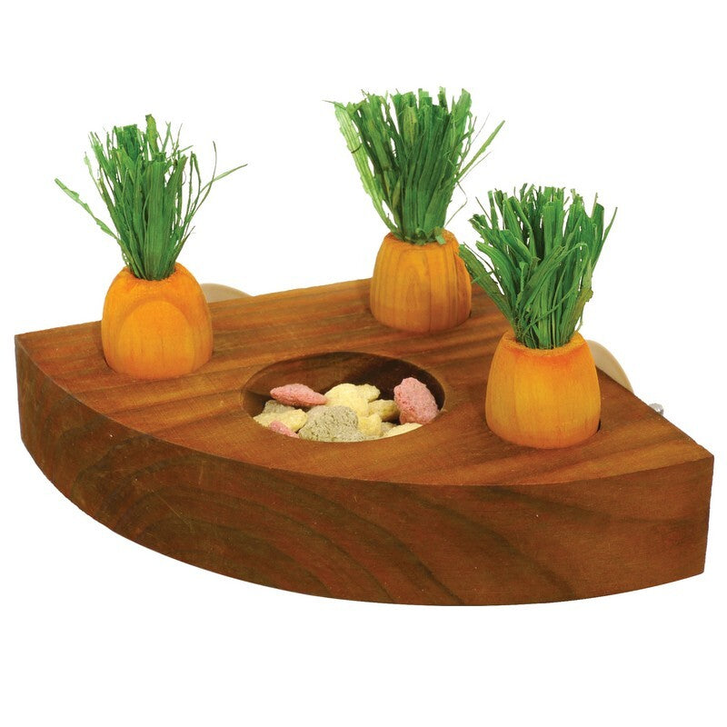 Boredom Breaker Carrot Toy & Treat Holder