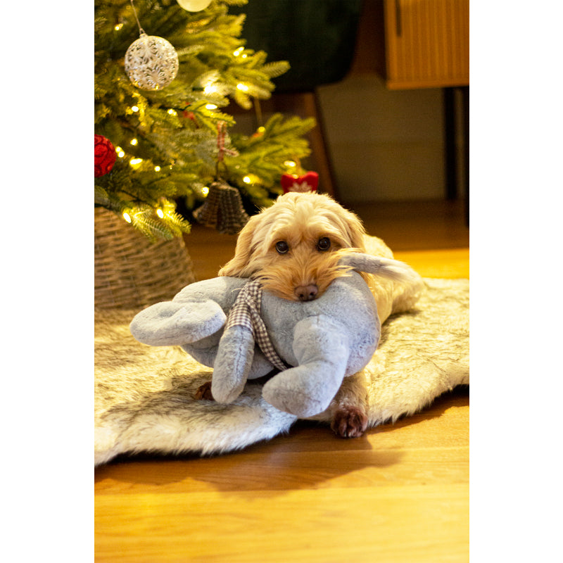 Xmas Maxi Elton Elephant 12