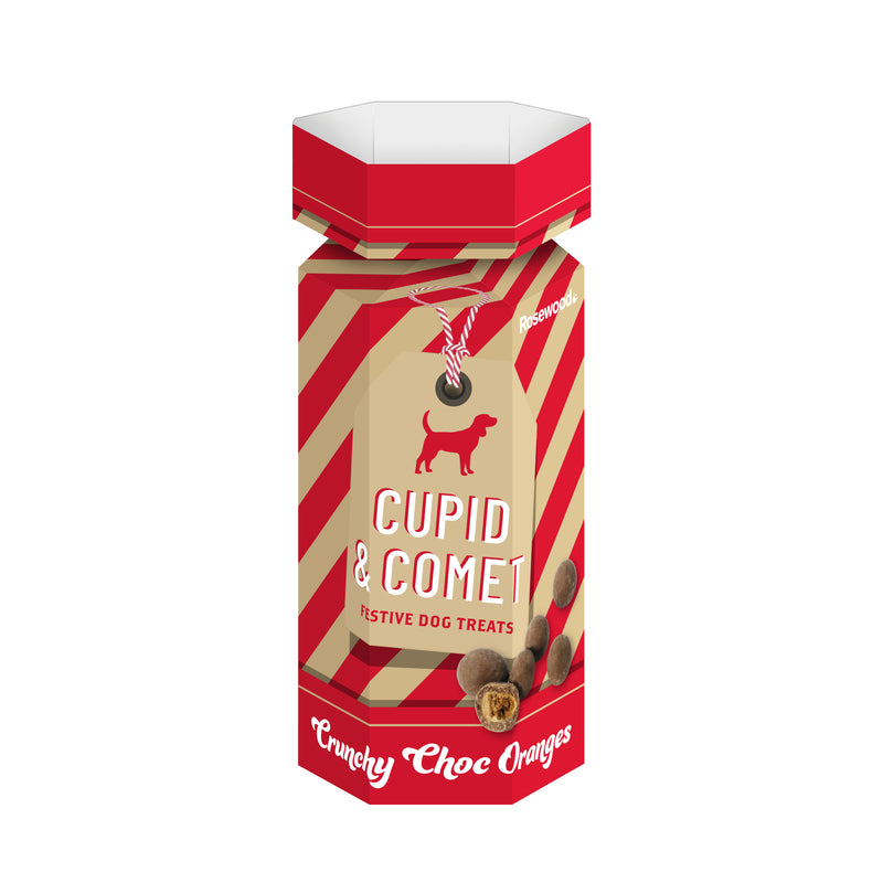 Xmas Crunchy Choc Orges Dog Treats 100 g