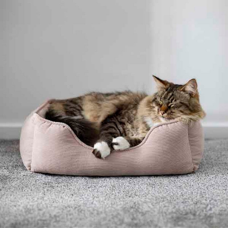 Rosewood 40 Winks Cord Square Beige Bed Small