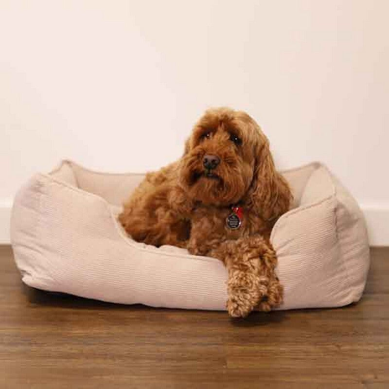 Rosewood 40 Winks Cord Square Beige Bed Large