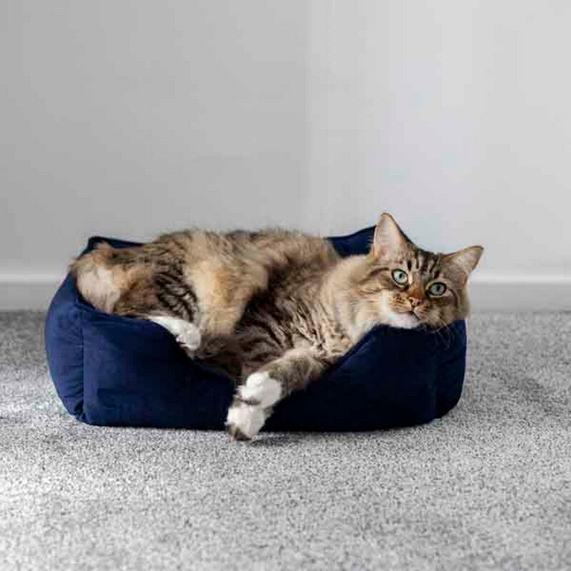 Rosewood 40 Winks Velvet Navy Box Bed Small