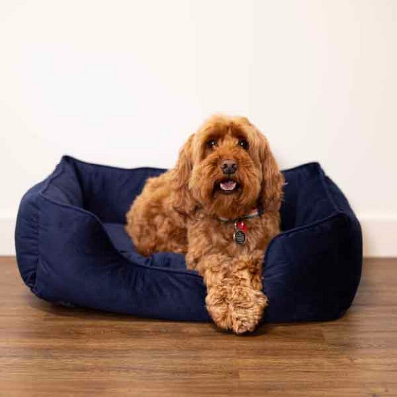 Rosewood 40 Winks Velvet Navy Box Bed Medium