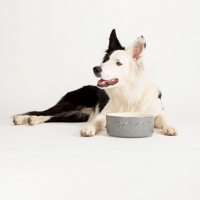 Scruffs Classic Food Grey Bowl 15cm